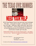 Help the Texas bunnies