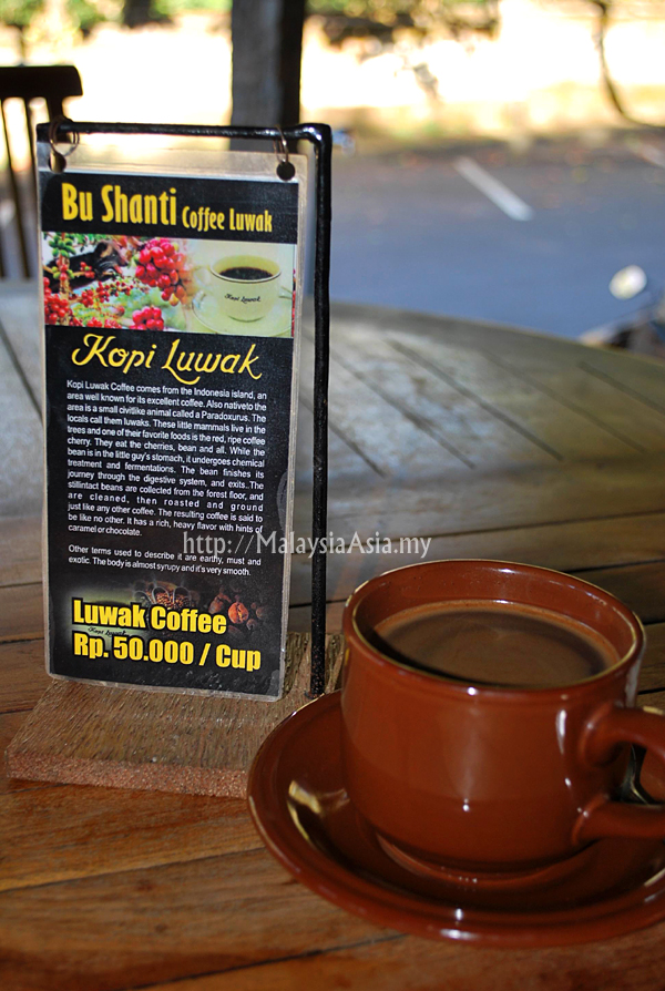 Malaysia kopi luwak The Food