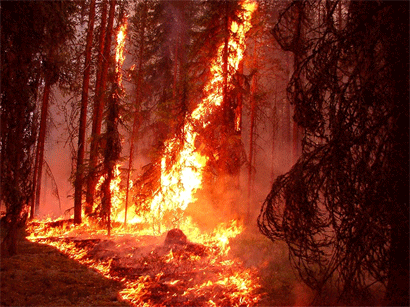 California Wildfires from California Wildfires from