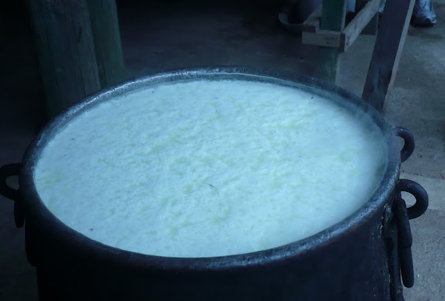 ricotta pronta