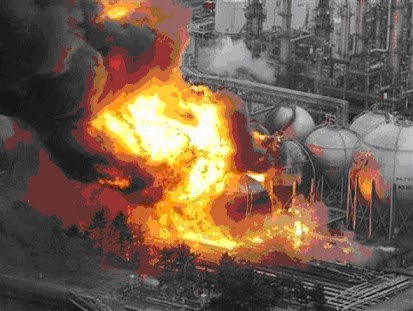 Elementos nucleares Elementos nucleares
