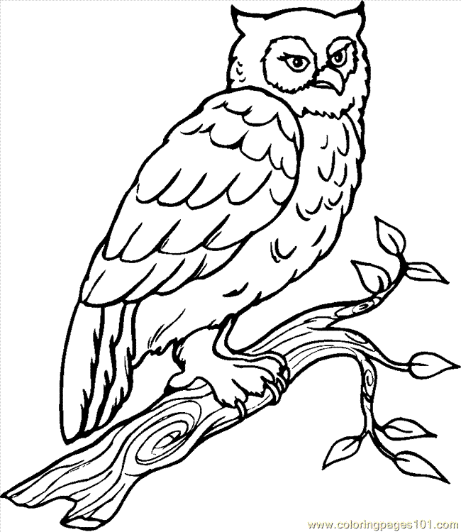 Kids Page: Owl0015 Birds Owl- Coloring Pages