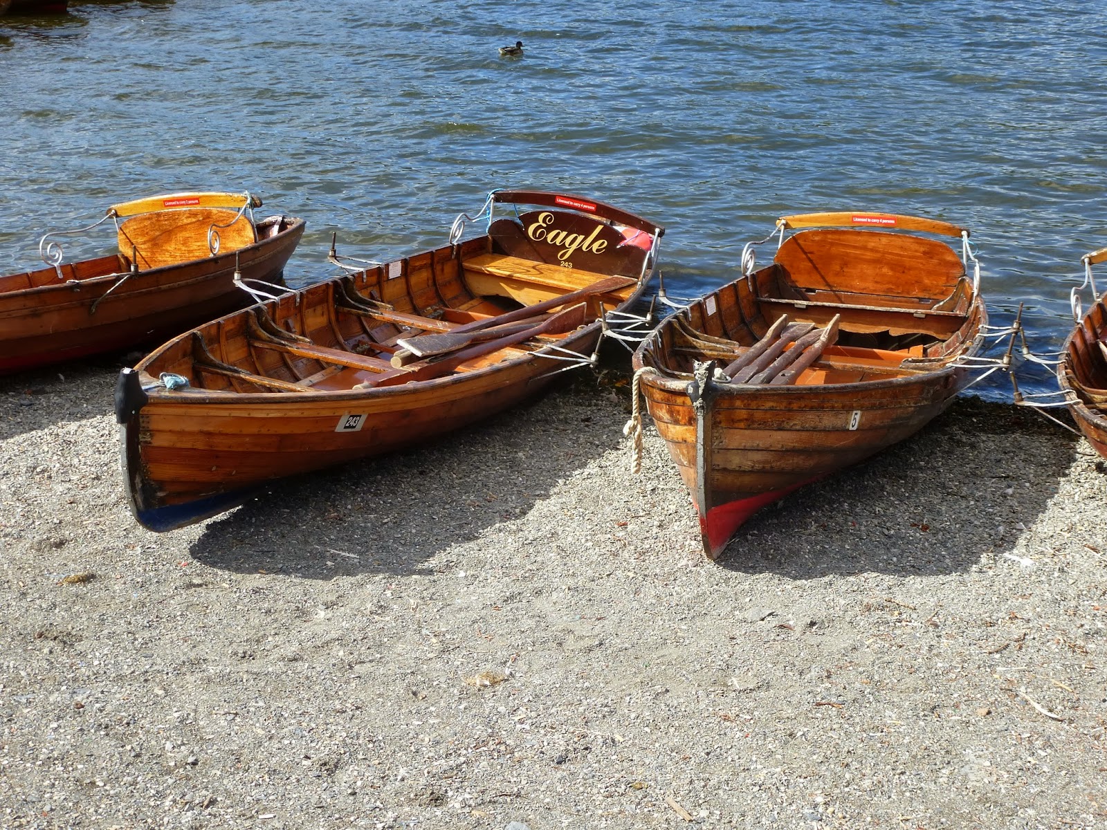 Grey Muse Rowing boats by Lake Windermere