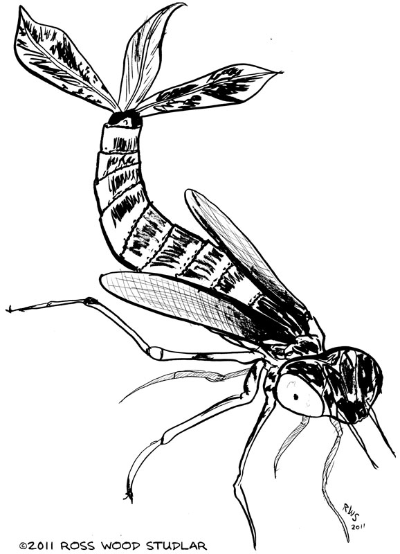 Dragonfly+nymph+jaws