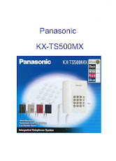 Panasonic TS-500