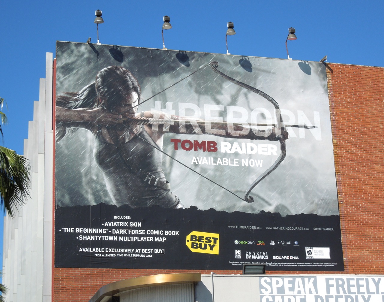 Rise Of The Tomb Raider Bear WallpapersWide - tomb raider reborn art wallpapers