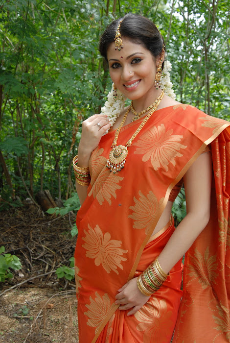 sada gorgeous in beautiful orange saree unseen pics