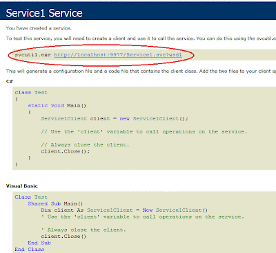Wcf service interface