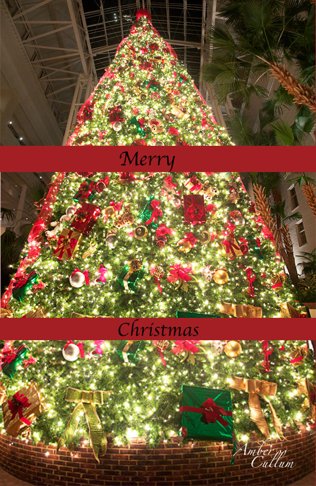 Click. Pray. Love Opryland Hotel Christmas Tree