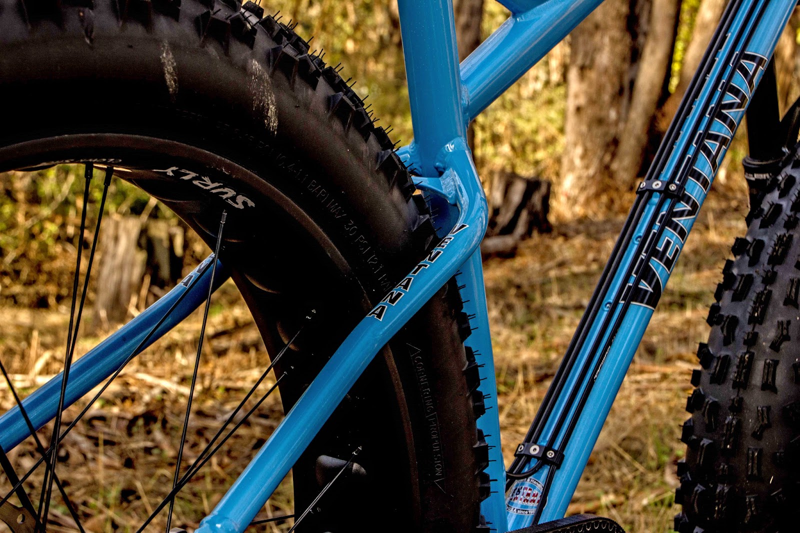 fat bike internal gear hub
