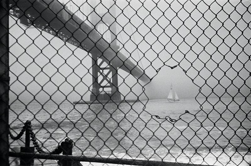 fences essay