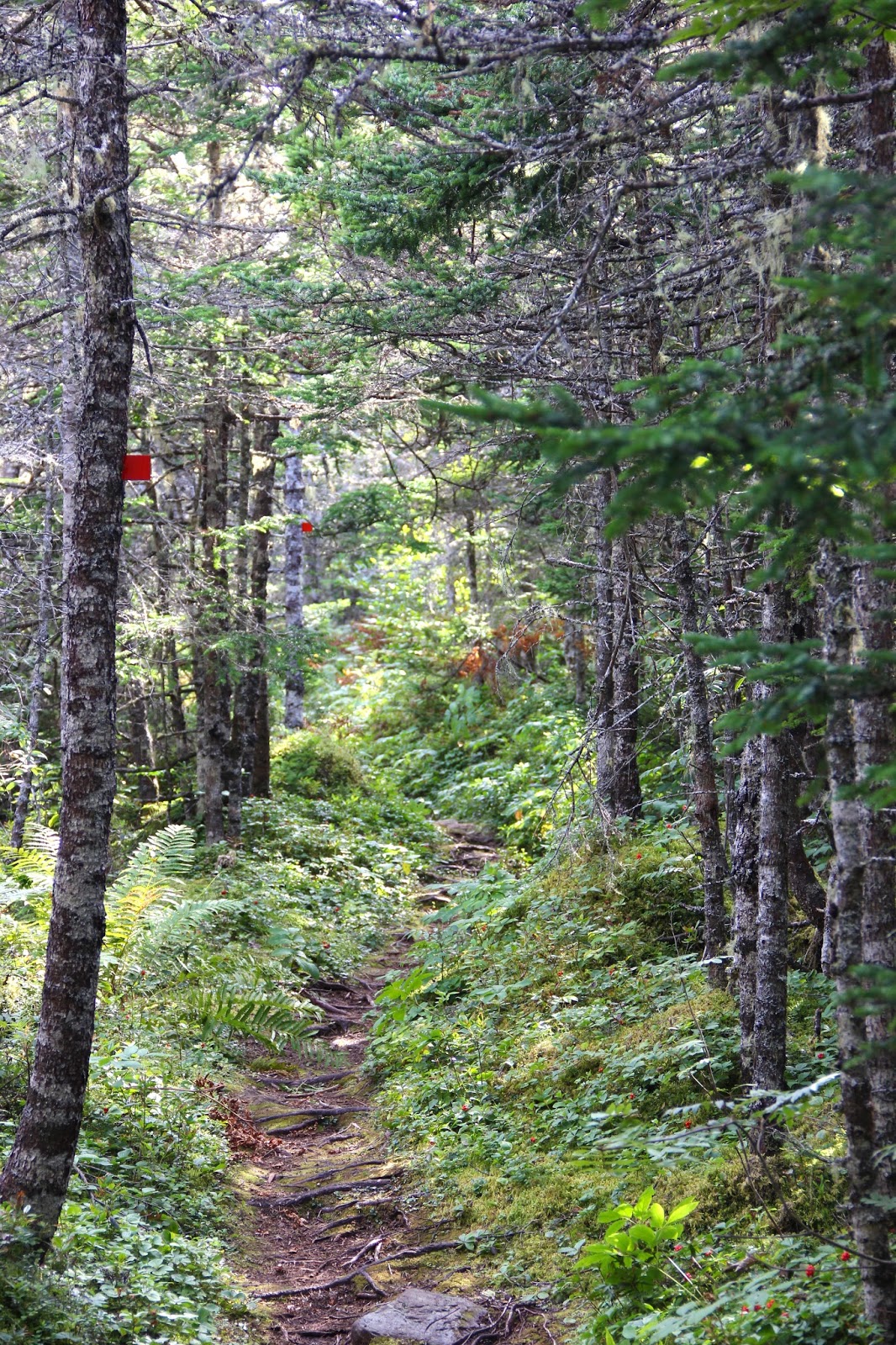 Maria Doering's Art & Adventures Exploring Nova Scotia Clam Harbour