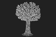 The White Tree by Haidi Shabrina