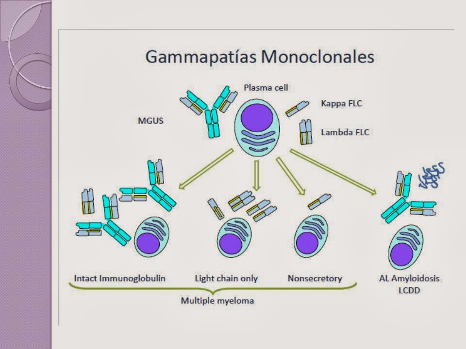 caulelab Cadenas Ligeras Libres Kappa y Lambda en suero