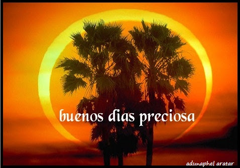 Frases para comentar fotos en Facebook | Frases bonitas