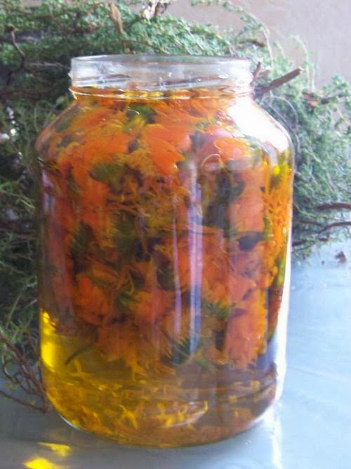 Infusion, décoction, macération?