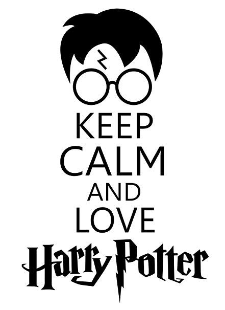 Honestly..... WHO DOESN'T LOVE HARRY POTTER???!!!!!