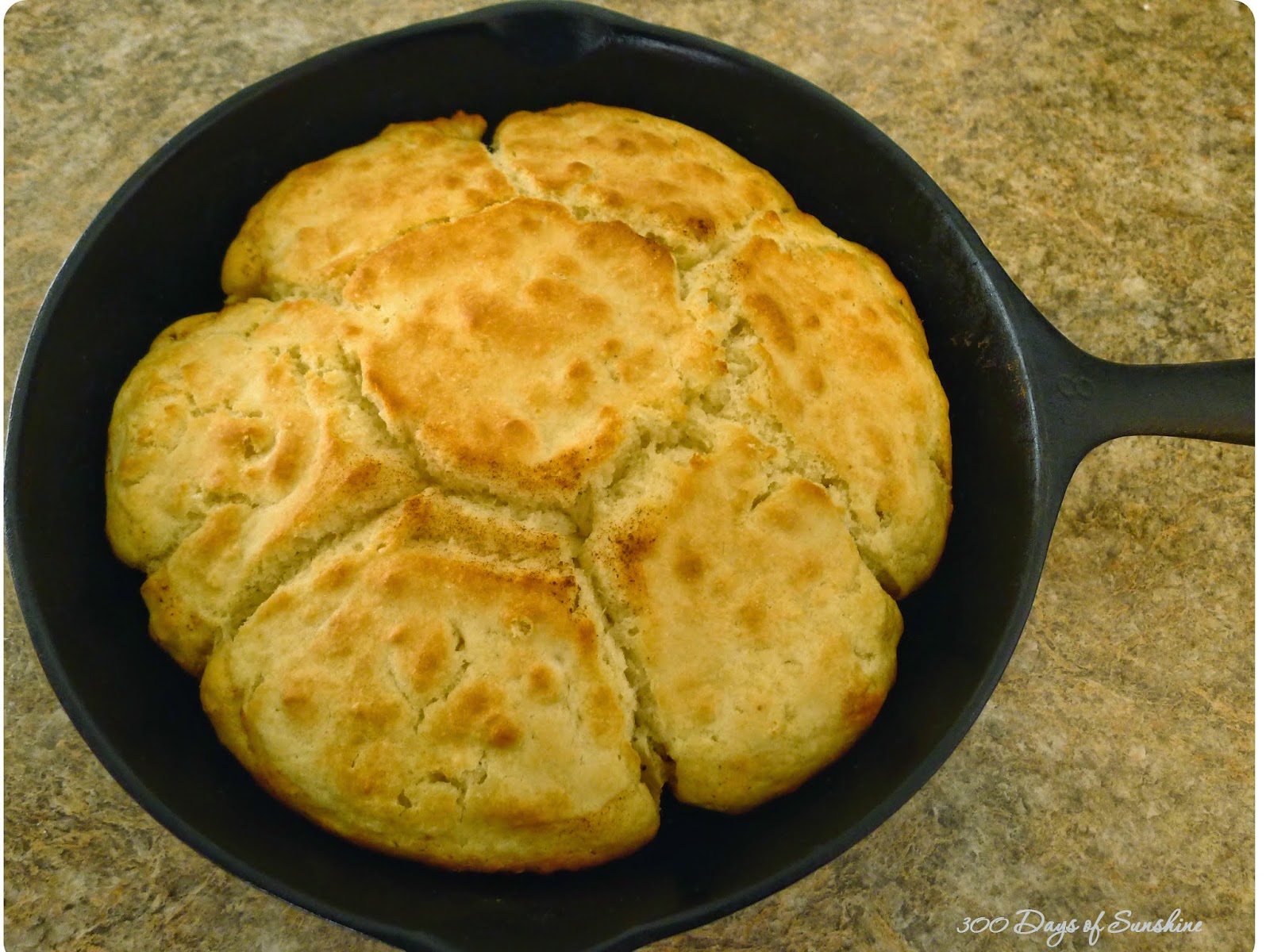 300 Days of Sunshine 'NeverFail' High Altitude Biscuits