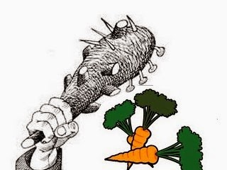 Resultado de imagen para eeuu el garrote y la zanahoria