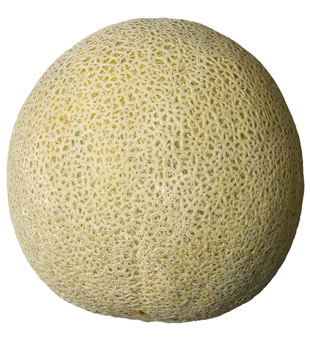 Funny Cantaloupe