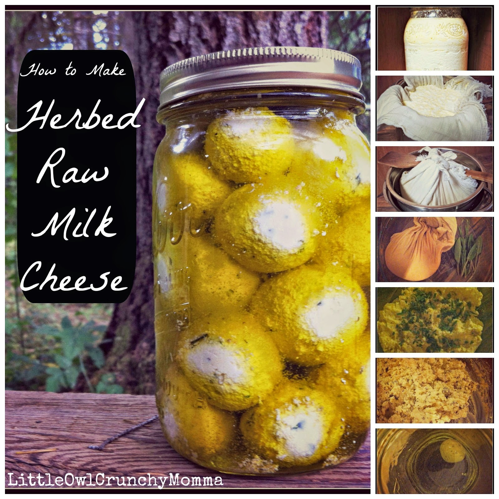 http://www.littleowlcrunchymomma.blogspot.com/2014/07/how-to-make-herbed-raw-milk-cheese.html