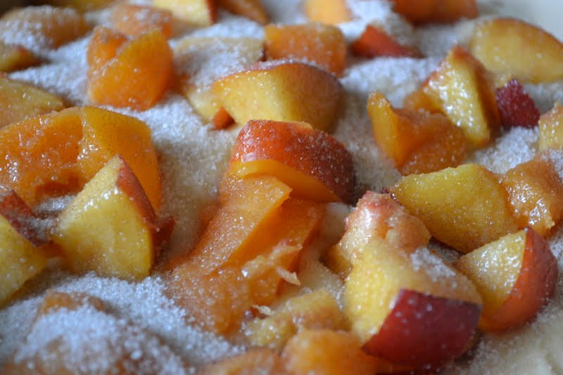 Apricot and Nectarine Breakfast Cake The View from Great Island