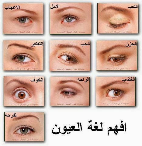 معلومة تهمك - طريقة فهم لغة العيون | معلومة تهمك