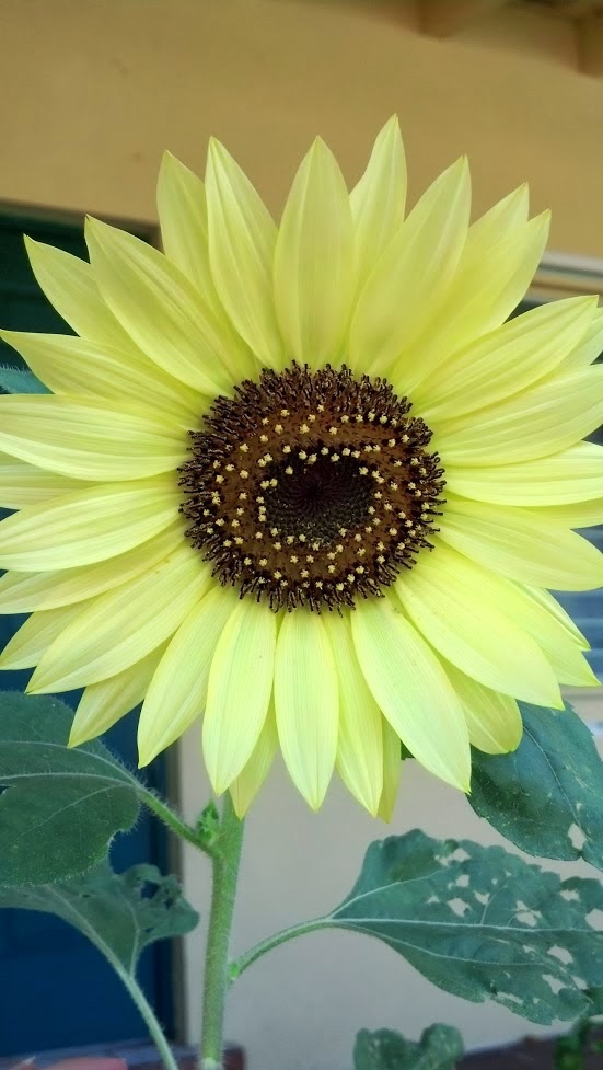 Back to the Basics! APRIL Seed Planting Guide for the US by Region