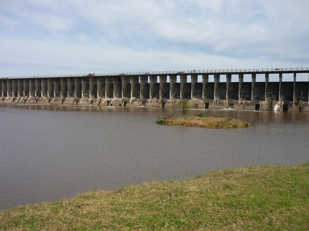 Plumas Purpuras: Una vuelta por mis lugares: ANP Dique Roggero