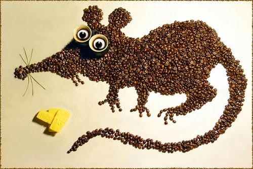 06-Rat-Irina-Nikitina-Music-Teacher-Photography-Coffee-Beans-and-Cups-Of-Coffee-www-designstack-co