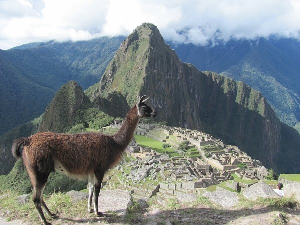 Marvelous Machu Pichu