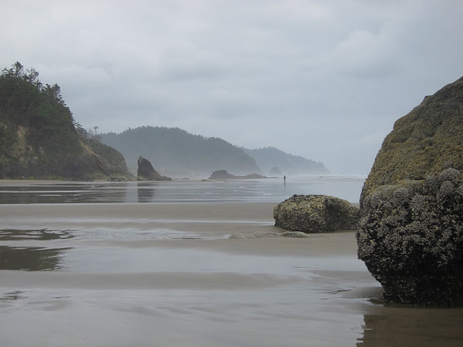 View from Hug Point