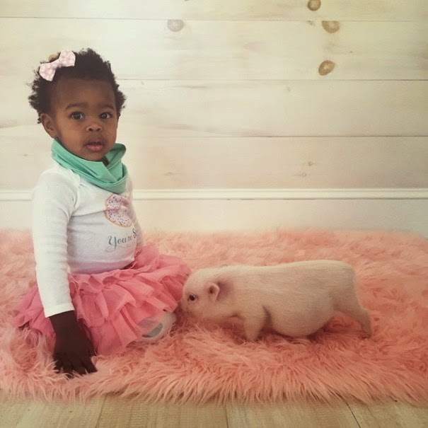 Lindsey writes, “God has blessed us so much through adoption and it is now my passion to share adoption love with others!” - The Heartmelting Friendship Of A 2-Year-Old Girl And Her Piglet Lindsey writes, “God has blessed us so much through adoption and it is now my passion to share adoption love with others!” - The Heartmelting Friendship Of A 2-Year-Old Girl And Her Piglet