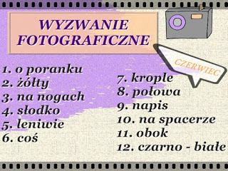 zabawa fotograficzna- brałam w niej udział