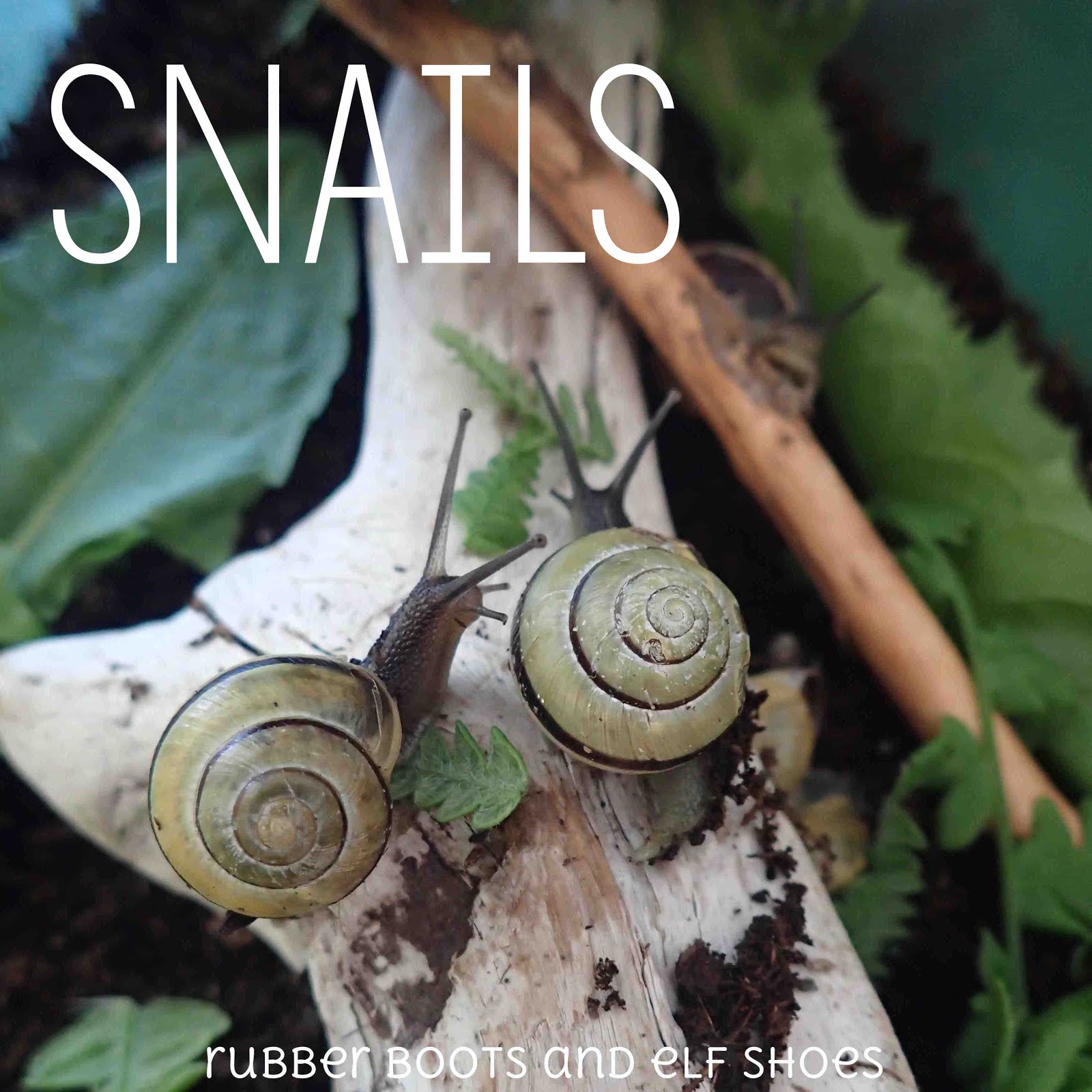 snail learning activities rubber boots and elf shoes