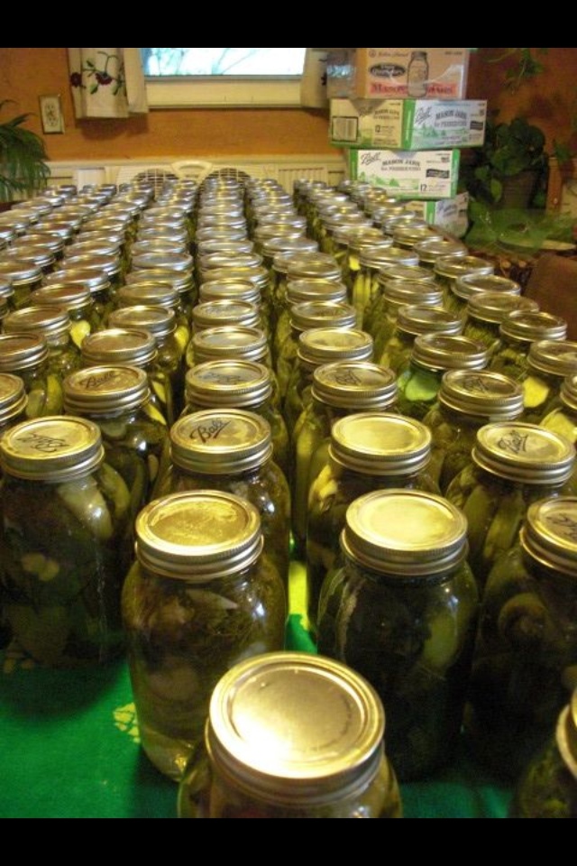 Cooking with Barry & Meta 300+ Quart Jars Dill Pickles