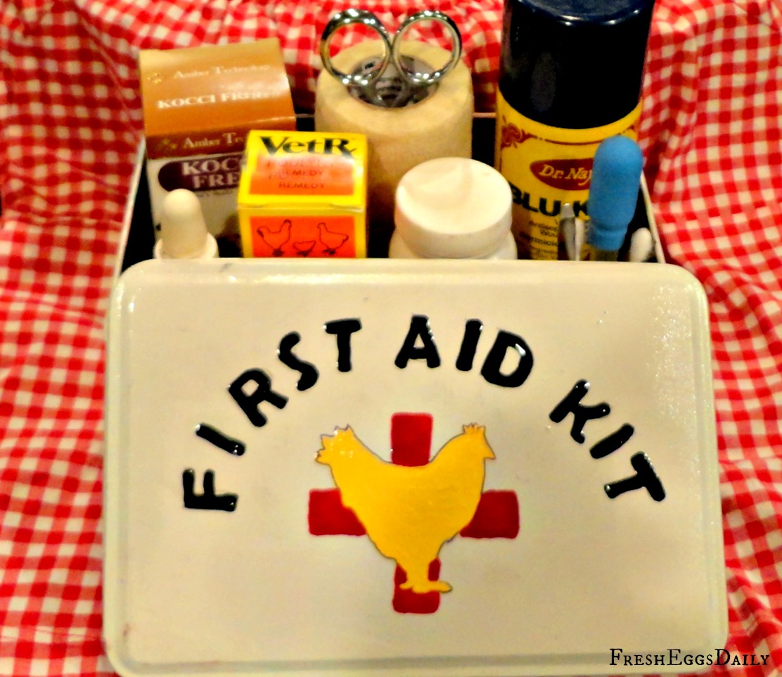 Better Safe than Sorry Stocking your Chicken First Aid Kit Fresh