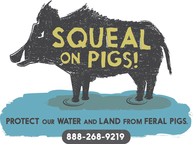 Squeal on Pigs Campaign