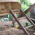 Looking for Chicken coop clipart free
 