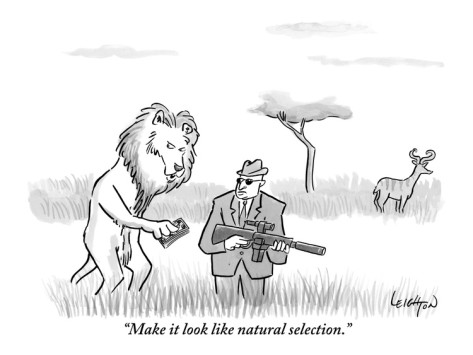 Natural Selection Muse Movie Natural Selection Muse Movie