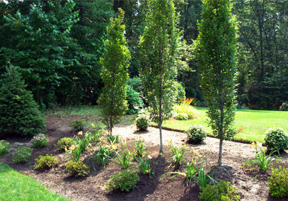 bruce cumming landscaping chelmsford