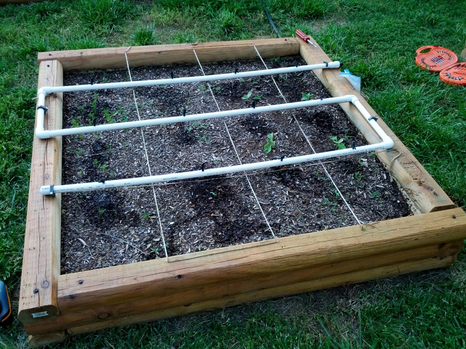 Delete the Nuts Drip irrigation with PVC pipe.