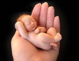 manos suaves acunando un bebe