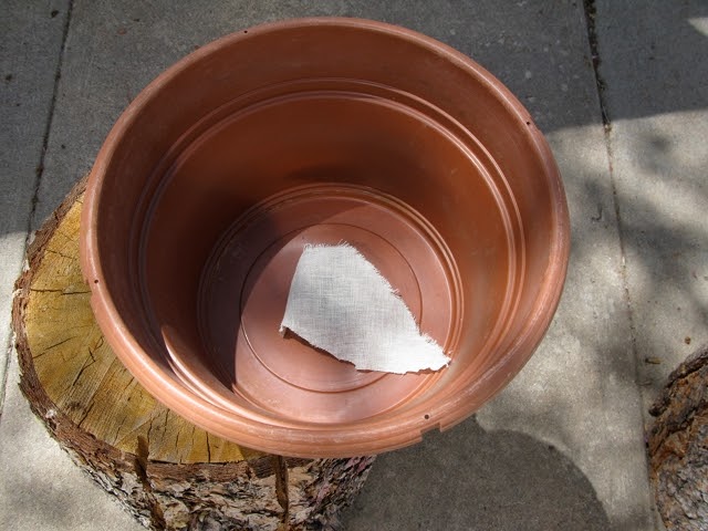 Soul Journer: 50 Projects: 52 Weeks (16. Hanging Tomato Planter and 17