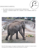 Informe Ariel Zabala (EAR),Zoológico Nacional, Mel Richarsdon y Scott Blais