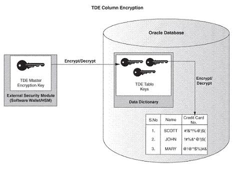 encryption oracle transparent data tde architecture enthusiasm succeed anything almost he which