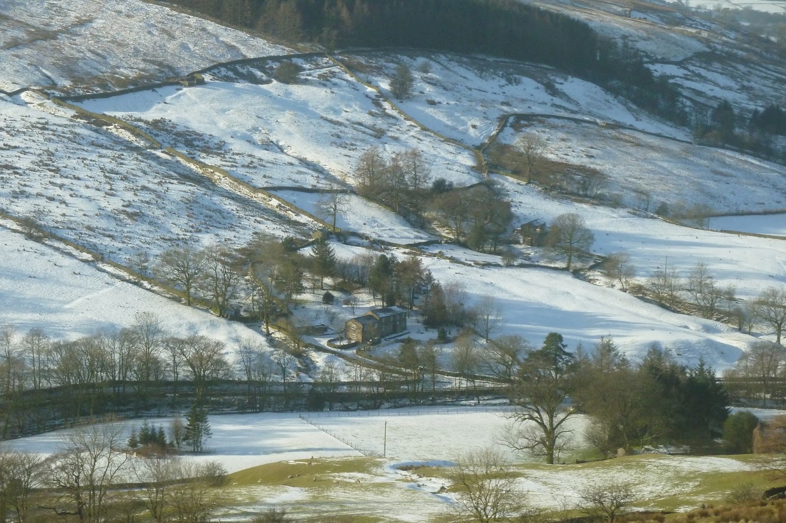 The Rainforest Fund Project Settle Carlisle line snow, hoar frost