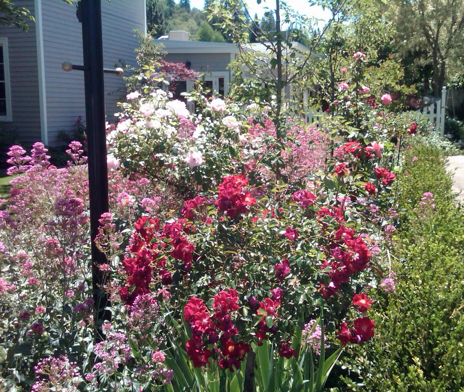 http://4.bp.blogspot.com/-uR12W0otNr4/Tg23IO50GiI/AAAAAAAAC7A/al08OpVgGGw/s1600/jacksonville.jpg