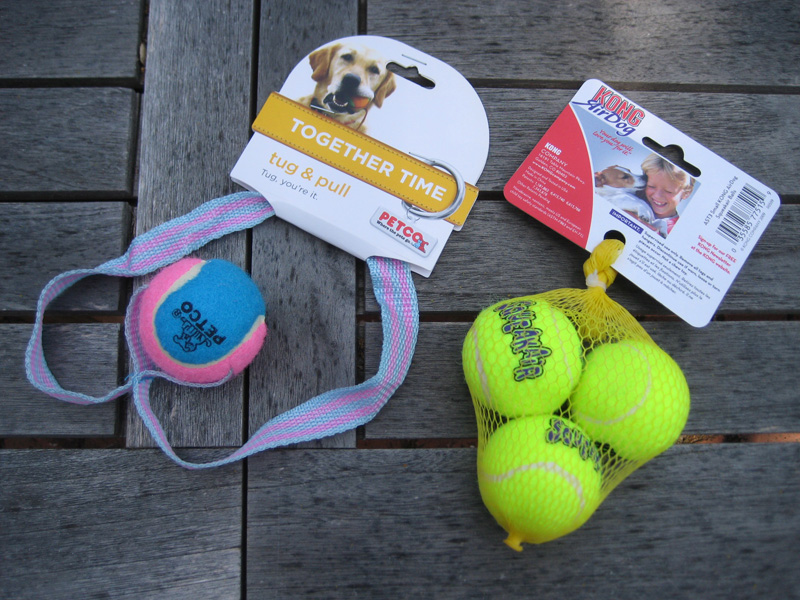 K6JCA Quickie Pneumatic Antenna Launcher