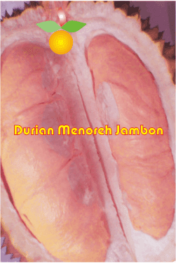 Durian Menoreh Jambon